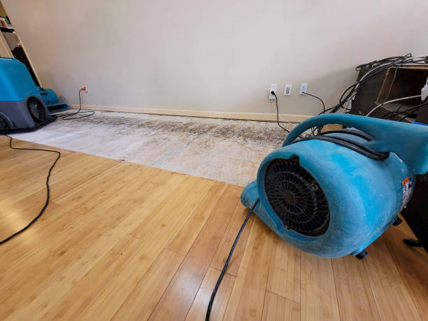 Professional Structural Drying technician working in Tahoe City, CA